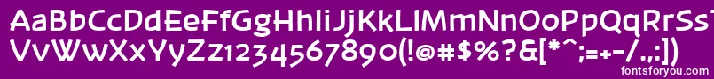 フォントBanksb20 – 紫の背景に白い文字