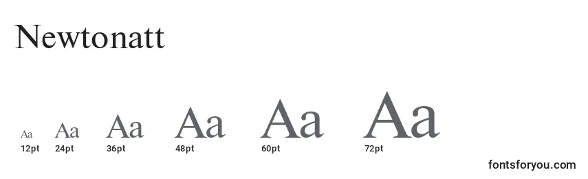 Newtonatt Font Sizes