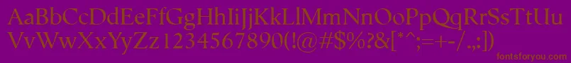 Semper Font – Brown Fonts on Purple Background