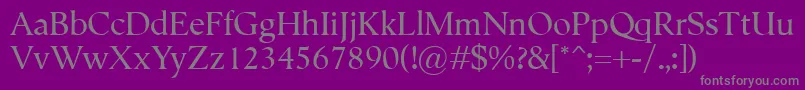 Semper-Schriftart – Graue Schriften auf violettem Hintergrund