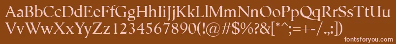 Semper Font – Pink Fonts on Brown Background