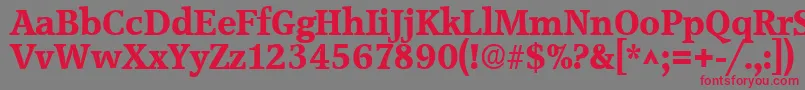 フォントAccoladeBold – 赤い文字の灰色の背景