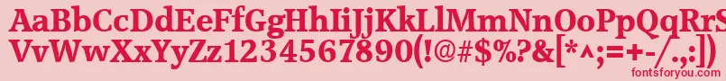 AccoladeBold Font – Red Fonts on Pink Background