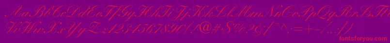 Heatherscriptc Font – Red Fonts on Purple Background