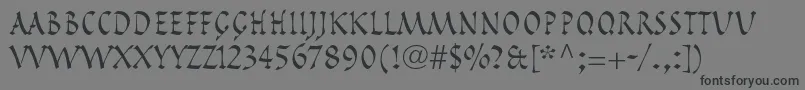 フォントPompeijanaltstdRoman – 黒い文字の灰色の背景