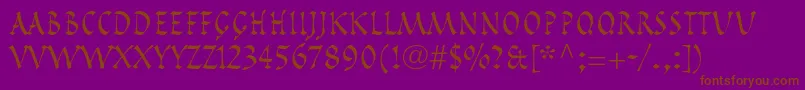 PompeijanaltstdRoman Font – Brown Fonts on Purple Background