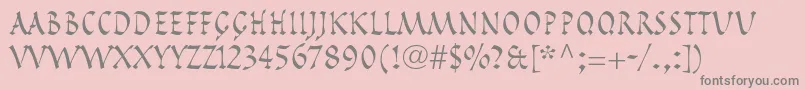 PompeijanaltstdRoman Font – Gray Fonts on Pink Background