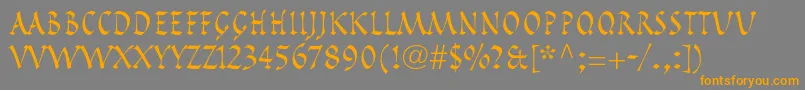 PompeijanaltstdRoman Font – Orange Fonts on Gray Background