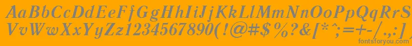 LiteraturnayacttBolditalic Font – Gray Fonts on Orange Background