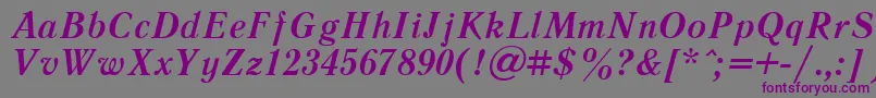 LiteraturnayacttBolditalic Font – Purple Fonts on Gray Background