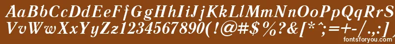 Шрифт LiteraturnayacttBolditalic – белые шрифты на коричневом фоне