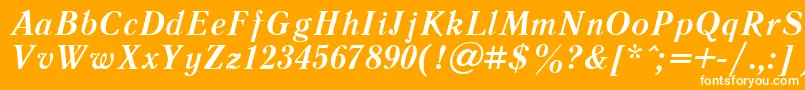 LiteraturnayacttBolditalic Font – White Fonts on Orange Background