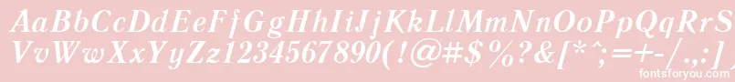 LiteraturnayacttBolditalic Font – White Fonts on Pink Background