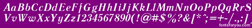 LiteraturnayacttBolditalic Font – White Fonts on Purple Background