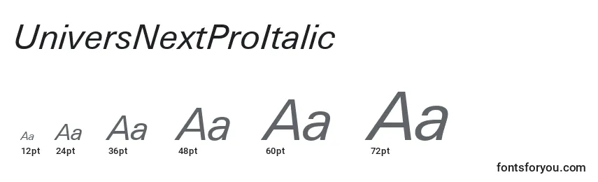 UniversNextProItalic Font Sizes