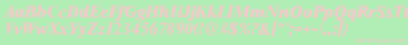 ThamesserialHeavyItalic Font – Pink Fonts on Green Background
