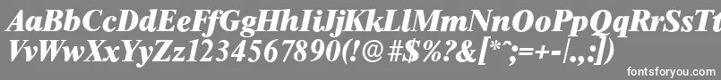 ThamesserialHeavyItalic-fontti – valkoiset fontit harmaalla taustalla