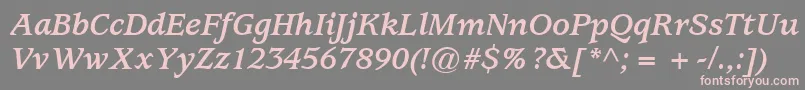 ExpositionSsiBoldItalic Font – Pink Fonts on Gray Background