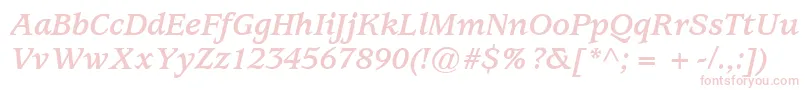 ExpositionSsiBoldItalic Font – Pink Fonts on White Background
