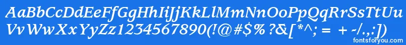 ExpositionSsiBoldItalic Font – White Fonts on Blue Background