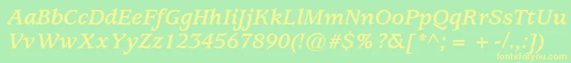 ExpositionSsiBoldItalic Font – Yellow Fonts on Green Background