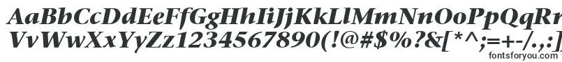 StoneSerifItcBoldItalic Font – Yandex Fonts