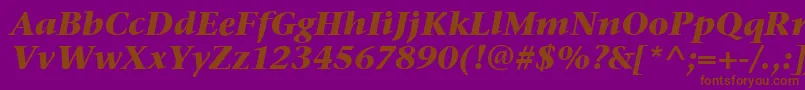 StoneSerifItcBoldItalic Font – Brown Fonts on Purple Background