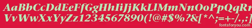 StoneSerifItcBoldItalic Font – Green Fonts on Red Background