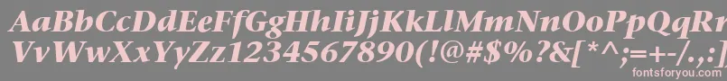 StoneSerifItcBoldItalic Font – Pink Fonts on Gray Background