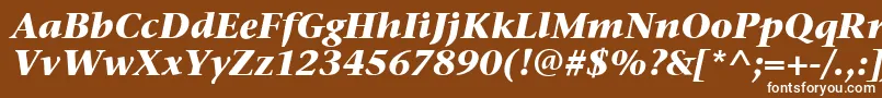 フォントStoneSerifItcBoldItalic – 茶色の背景に白い文字