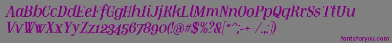 MountitalicPersonaluse Font – Purple Fonts on Gray Background