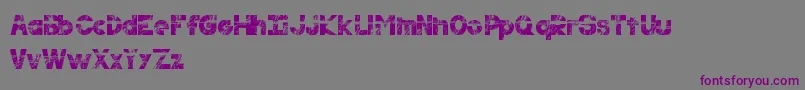 Resilience Font – Purple Fonts on Gray Background