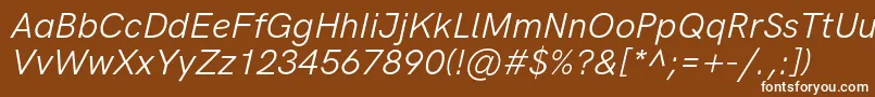 HkgroteskLegacyitalic Font – White Fonts on Brown Background