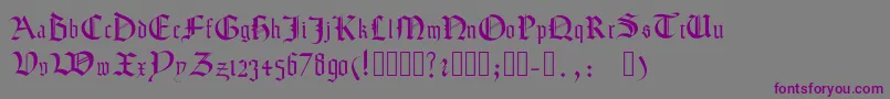 Texturamodern-fontti – violetit fontit harmaalla taustalla