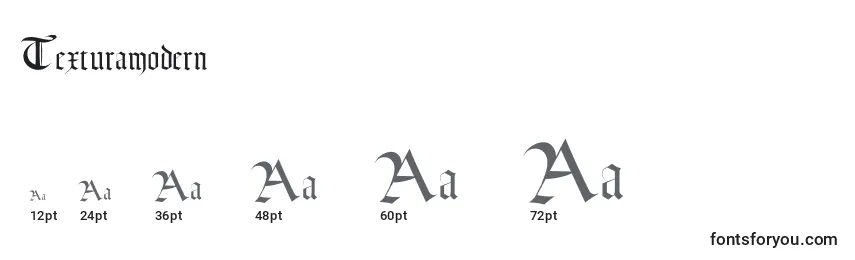 Texturamodern Font Sizes