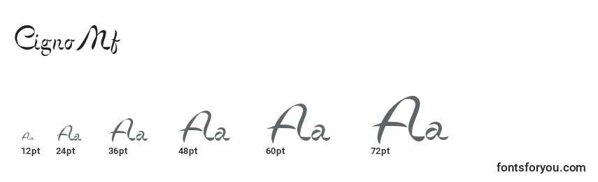 CignoMf Font Sizes