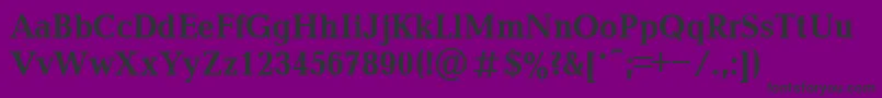 BalticaBold90b Font – Black Fonts on Purple Background