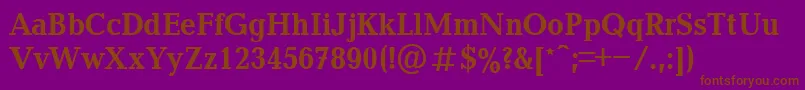 BalticaBold90b Font – Brown Fonts on Purple Background