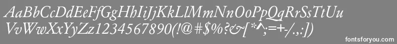 AzgaramondcItalic Font – White Fonts on Gray Background