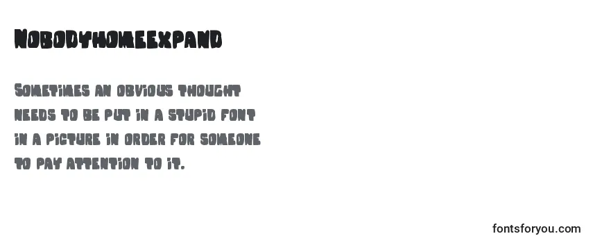 Review of the Nobodyhomeexpand Font