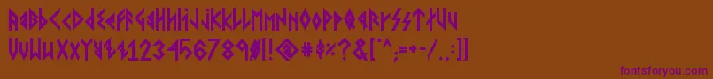 VikingYoungerRunesBold Font – Purple Fonts on Brown Background