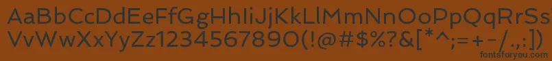 SpinnakerRegular Font – Black Fonts on Brown Background