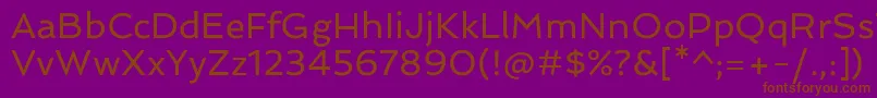 Шрифт SpinnakerRegular – коричневые шрифты на фиолетовом фоне