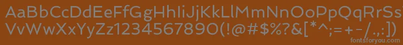 Шрифт SpinnakerRegular – серые шрифты на коричневом фоне