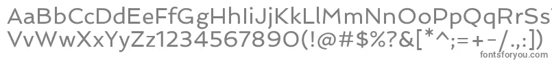 フォントSpinnakerRegular – 白い背景に灰色の文字