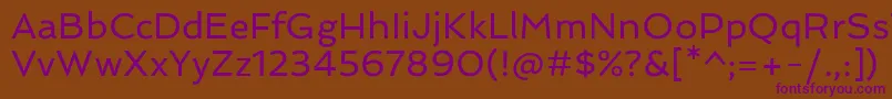 SpinnakerRegular Font – Purple Fonts on Brown Background