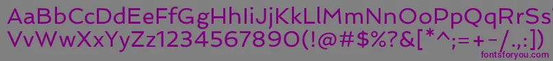 SpinnakerRegular Font – Purple Fonts on Gray Background