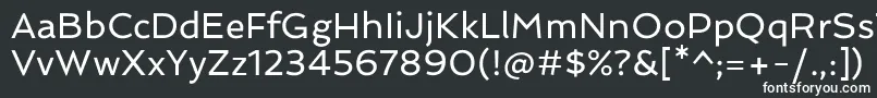 SpinnakerRegular Font – White Fonts on Black Background