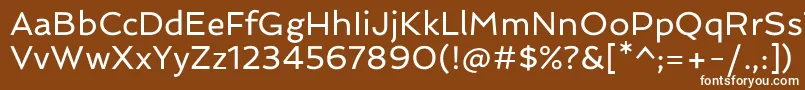 SpinnakerRegular Font – White Fonts on Brown Background
