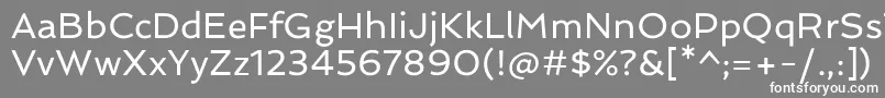 SpinnakerRegular Font – White Fonts on Gray Background